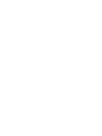 美